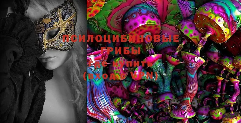 Галлюциногенные грибы Psilocybe  Оха 